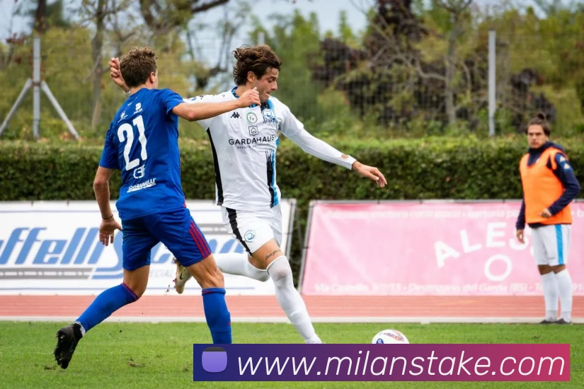 米兰体育APP 封面图